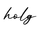 单词holg书写