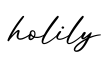 单词holily书写