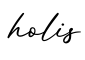 单词holis书写