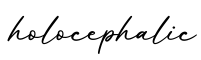 单词holocephalic书写