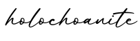 单词holochoanite书写