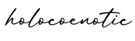 单词holocoenotic书写