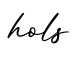 单词hols书写
