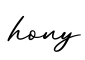单词hony书写