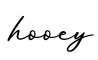 单词hooey书写