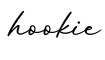 单词hookie书写