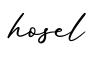 单词hosel书写
