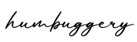 单词humbuggery书写