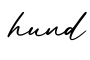 单词hund书写