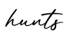 单词hunts书写