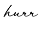 单词hurr书写