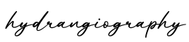 单词hydrangiography书写