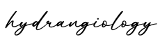 单词hydrangiology书写