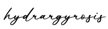 单词hydrargyrosis书写