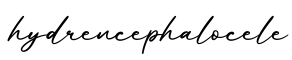 单词hydrencephalocele书写