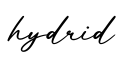 单词hydrid书写