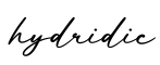 单词hydridic书写