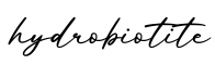 单词hydrobiotite书写