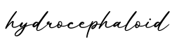 单词hydrocephaloid书写