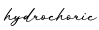 单词hydrochoric书写