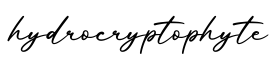 单词hydrocryptophyte书写