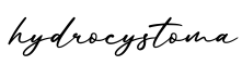 单词hydrocystoma书写