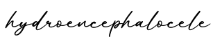 单词hydroencephalocele书写