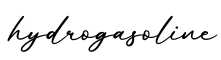 单词hydrogasoline书写