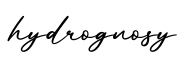 单词hydrognosy书写