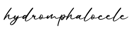 单词hydromphalocele书写