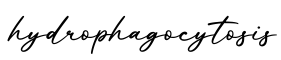 单词hydrophagocytosis书写