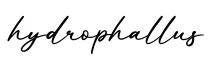 单词hydrophallus书写