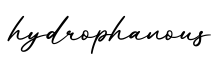 单词hydrophanous书写