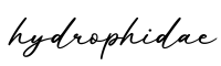 单词hydrophidae书写