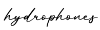 单词hydrophones书写