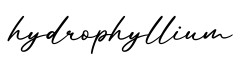 单词hydrophyllium书写
