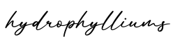 单词hydrophylliums书写