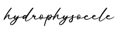 单词hydrophysocele书写