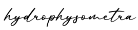 单词hydrophysometra书写