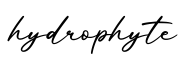 单词hydrophyte书写