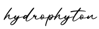 单词hydrophyton书写