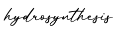 单词hydrosynthesis书写
