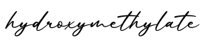 单词hydroxymethylate书写