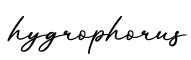 单词hygrophorus书写