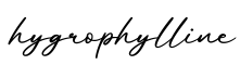 单词hygrophylline书写