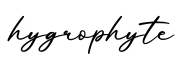 单词hygrophyte书写