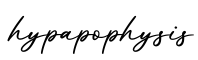 单词hypapophysis书写