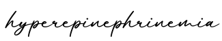 单词hyperepinephrinemia书写