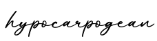 单词hypocarpogean书写