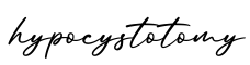单词hypocystotomy书写
